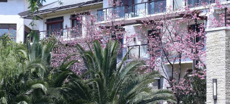 昆明华邑酒店(滇池)图片