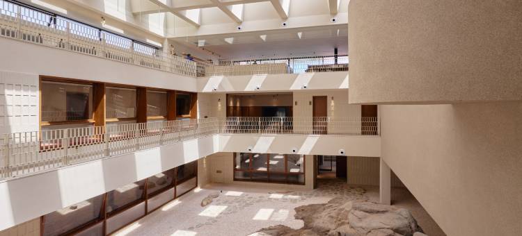 大乐之野(嵊泗黄龙岛灯塔店)图片