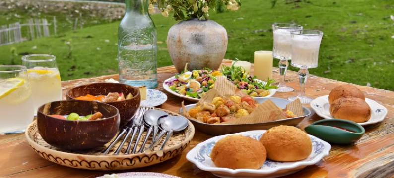 琼库什台岭杉民宿图片