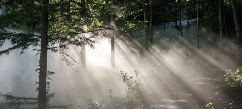 余姚四明山云自泊民宿图片