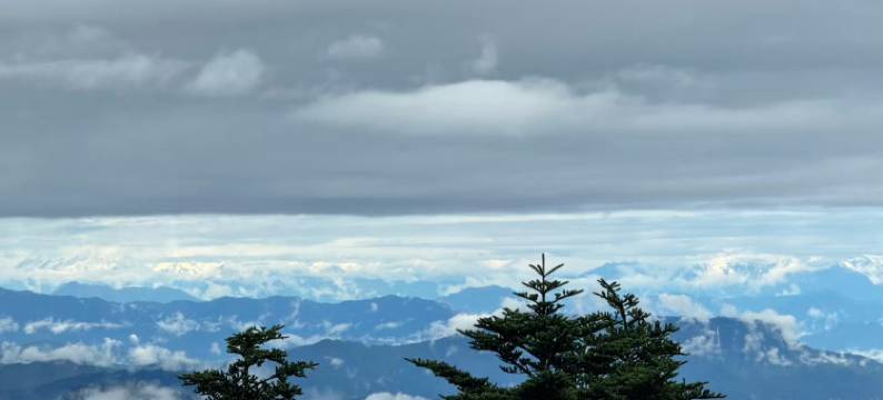 美栖峨眉山下民宿(报国寺旅游客运中心店)图片