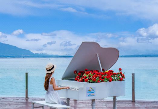 Yangxin HotelHotel Overview