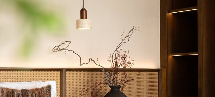 梵野•朴舍FANYEPUSHE民宿(那拉提景区店)图片