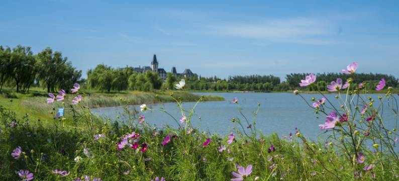 文安绿发希尔顿酒店图片
