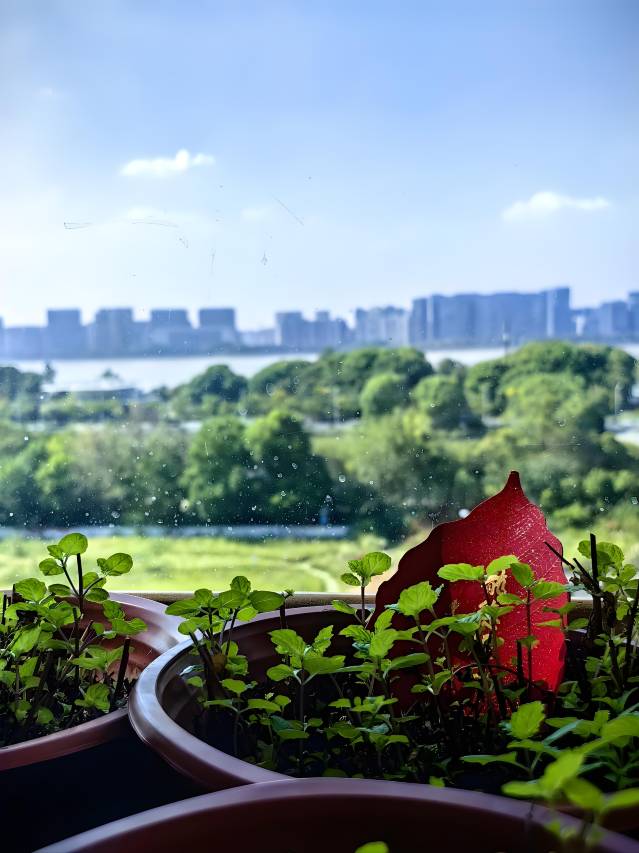 城市便捷酒店(自贡华商西广场万达广场店)图片