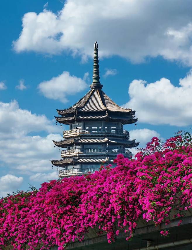 美豪丽致酒店(南宁朝阳广场明秀路地铁站店)图片