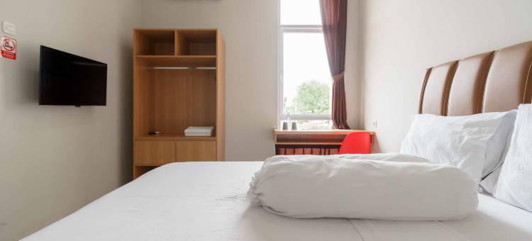 Palm Eight RedPartner图片