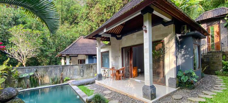 Bali Jungle Resort图片