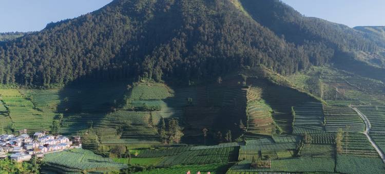 迪恩格塞里亚度假村(DIENG CERIA RESORT)图片