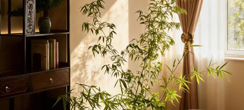 秀和·影音丨TheBeautyofTheEast设计师民宿(渤海大学万达店)图片