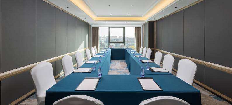 合肥高新豪生酒店图片