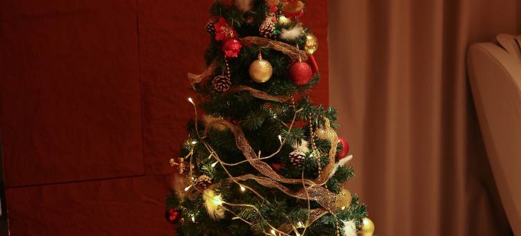 Z-HUB E•知芯社电竞商务酒店(阜阳西站吾悦广场店)图片