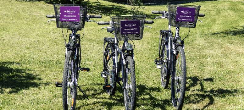 奥兰治中心美居酒店(Hôtel Mercure Orange Centre)图片