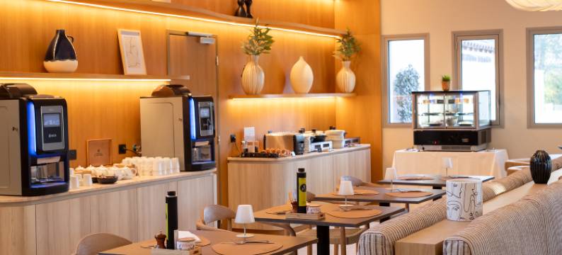 金色郁金香亚维侬乐天堂(Golden Tulip Avignon le Paradou)图片