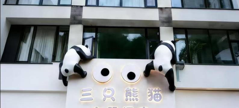 雅安三只熊猫主题酒店图片