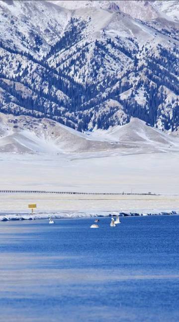 季枫国际酒店(博乐站万象汇店)图片