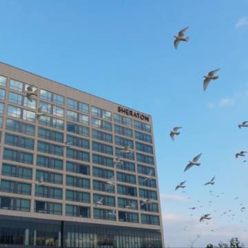 昆山淀山湖喜来登酒店图片