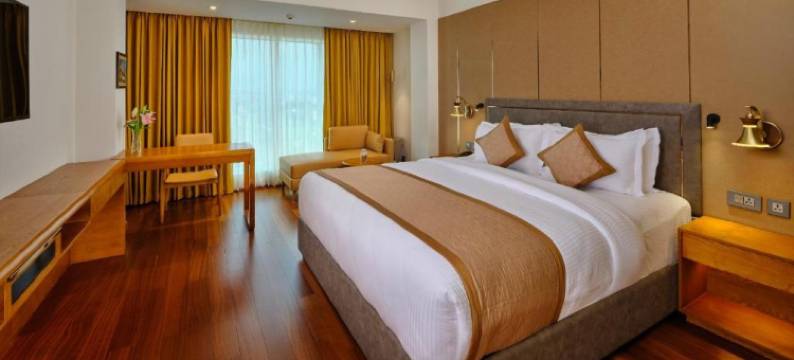 乌代布尔骄傲酒店(Pride Hotel Udaipur)图片