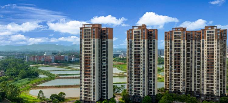 丽途度假公寓(佛山鹭湖店)图片