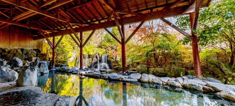 Epinard那须温泉酒店(Hotel Epinard Nasu)图片