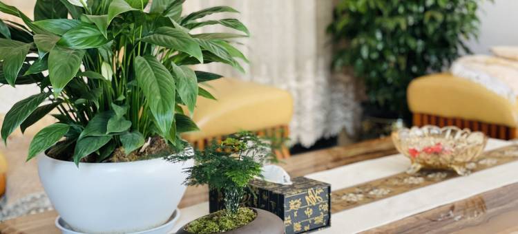 永胜绿州酒店图片