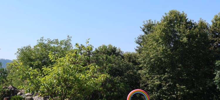 浦江登云山居民宿图片