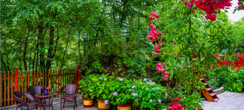 神农架栖溪雅院图片