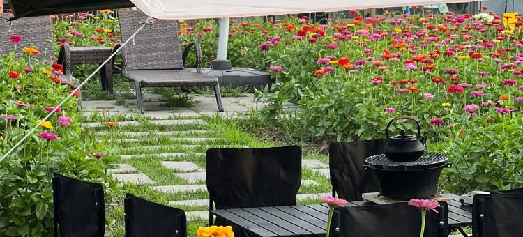 然舍·Courtyard草原趣野度假民宿(那拉提草原店)图片