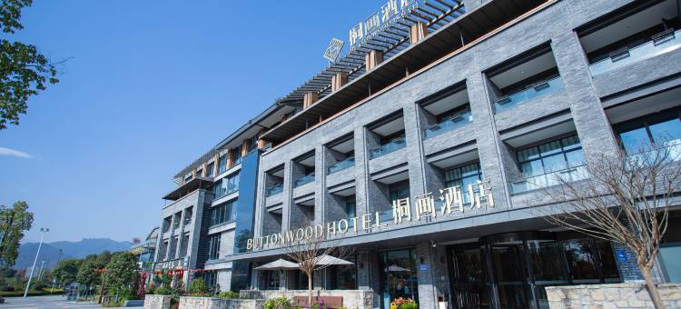 青城山桐画酒店图片