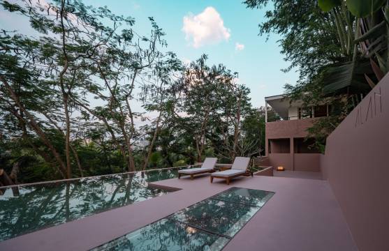 安莱雨林野奢酒店图片