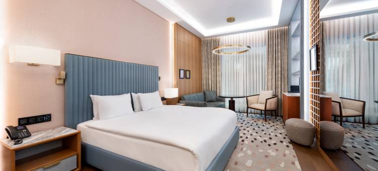 伊斯坦布尔市中心华美达广场酒店 - 仅供成人入住(Ramada Plaza by Wyndham Istanbul City Center)图片