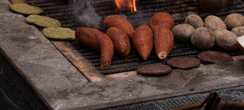 金川银小院图片