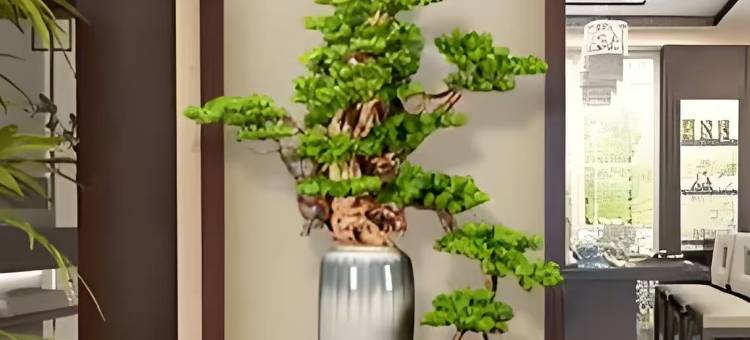 韬韬居轻奢酒店(扬州东关街何园店)图片