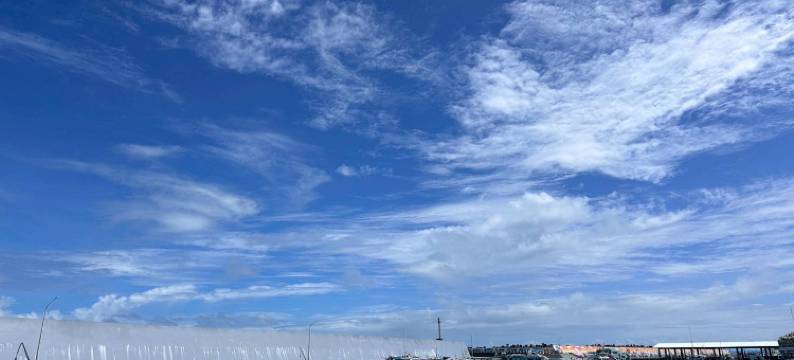 小花宿图片