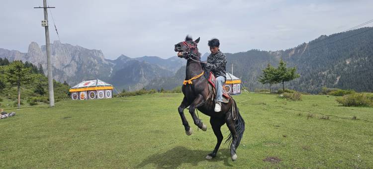 扎尕那云中居民宿图片