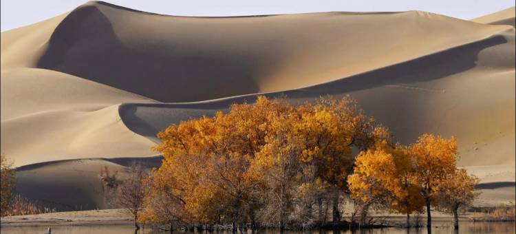 西游宾馆(库尔勒石化大道红玺台店)图片