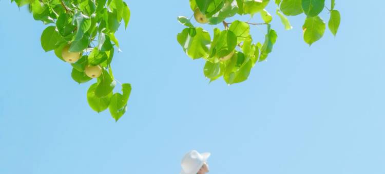 仙居花清引·予梦度假美宿图片