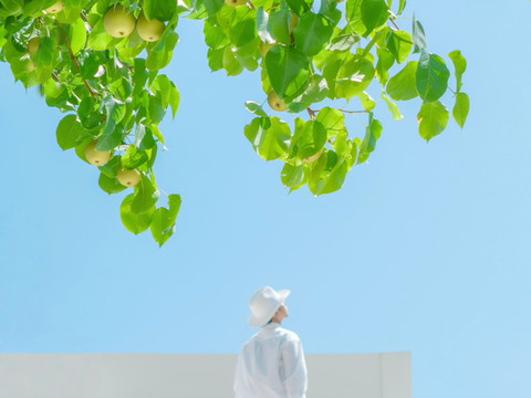 仙居花清引·予梦度假美宿