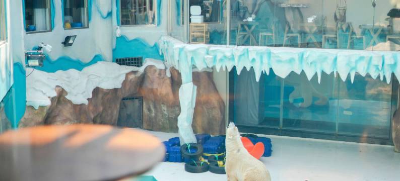 哈尔滨极地公园北极熊酒店(太阳岛地铁站店)图片