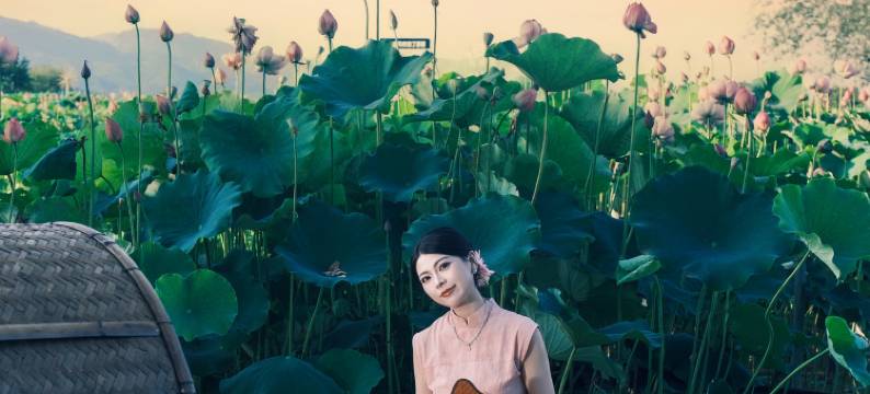 悦荷·百亩荷塘亲子度假民宿图片