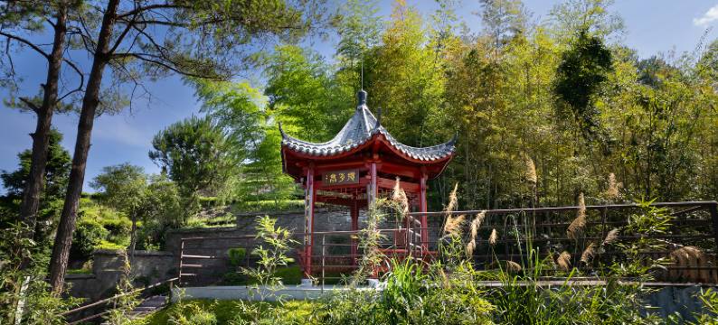 武夷山融景墅酒店(景区南入口店)图片
