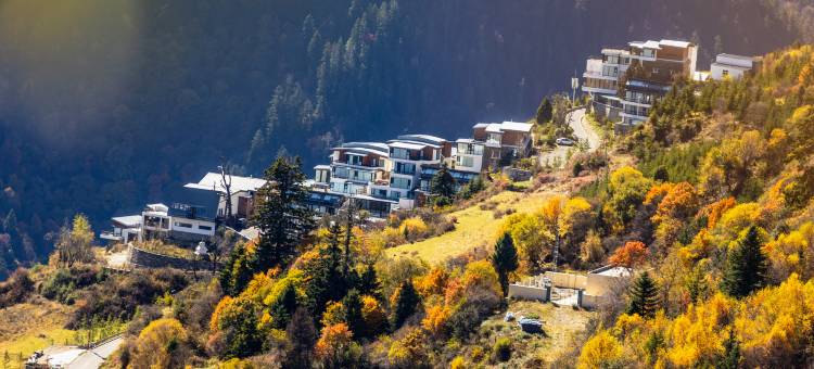 黑水嘎尔庄园图片