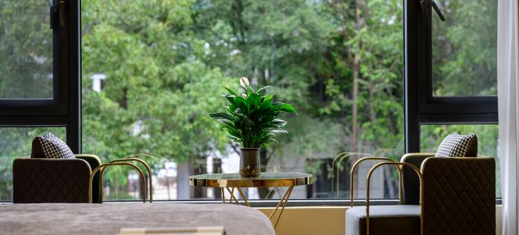 云杉里•白沙驿 ｜空中CoffeeBar 雪山胜景轻奢度假美宿图片