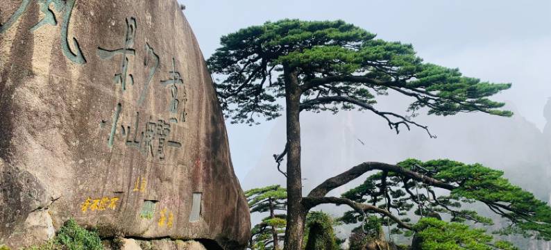 7天优品Premium酒店(黄山风景区店)图片