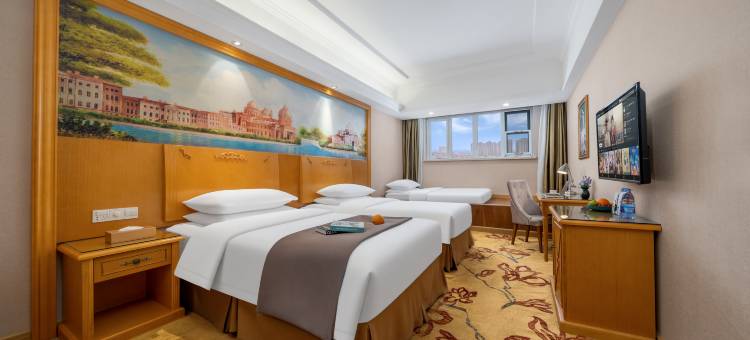 维也纳酒店(天津西青区中北镇店)图片