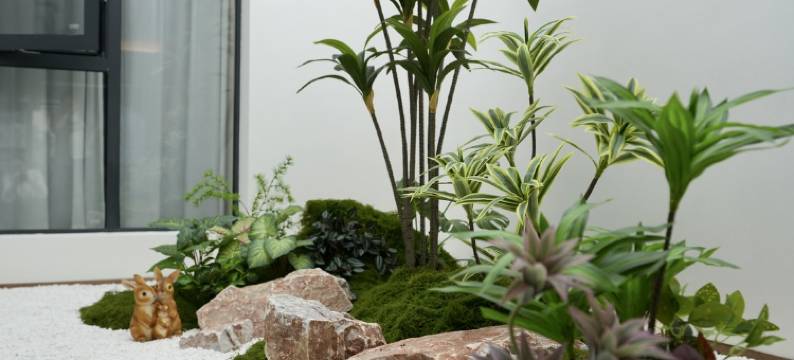 云族翠凤凰酒店图片