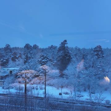 长白山璞悦温泉度假酒店图片