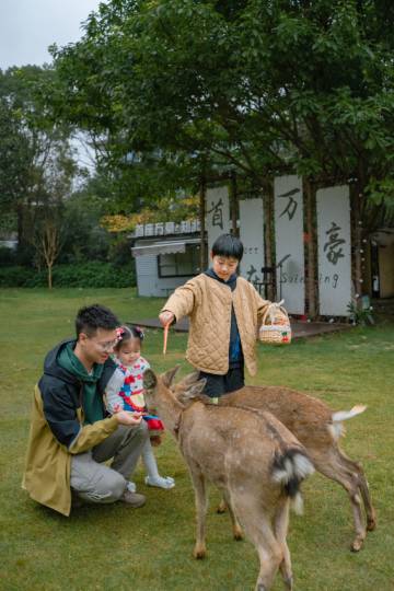遂宁首座万豪酒店图片