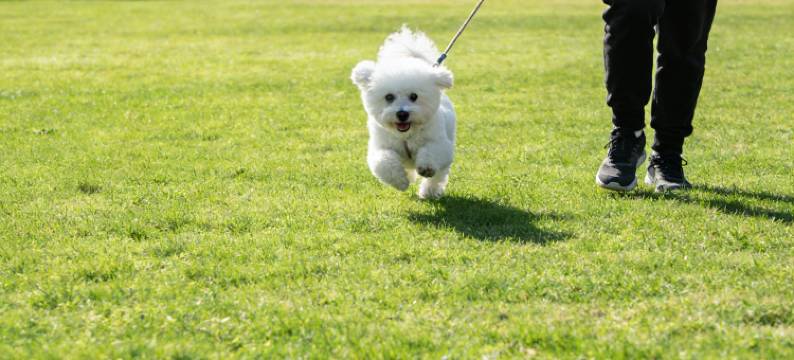 杭州临安青山湖科技城万丽酒店图片