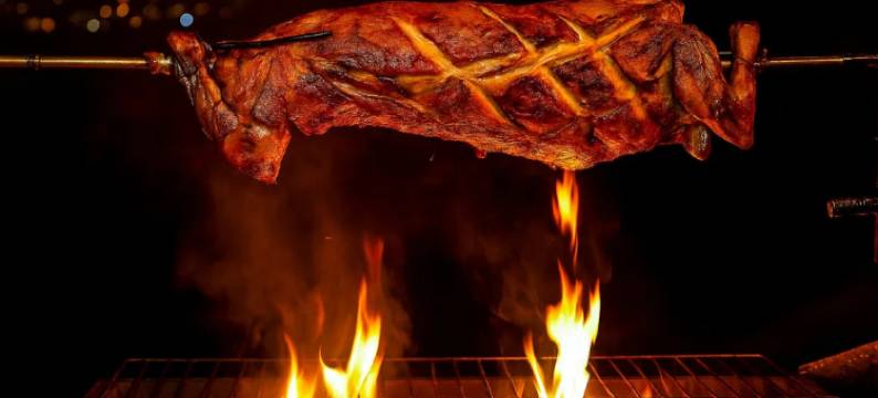 上海中航爱游客枫泾房车露营地图片